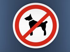 знак выгул собак запрещен изготовить срочно